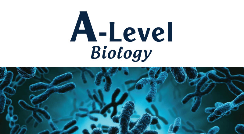 A-level Biology