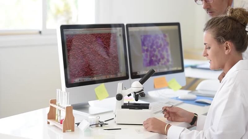 đào tạo giáo viên dạy Sinh học bằng tiếng Anh interesting đào tạo giáo viên dạy Sinh học bằng tiếng Anh interesting