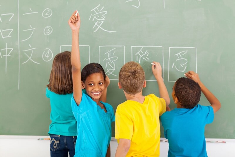 IB Chinese teacher study IB Chinese teacher study