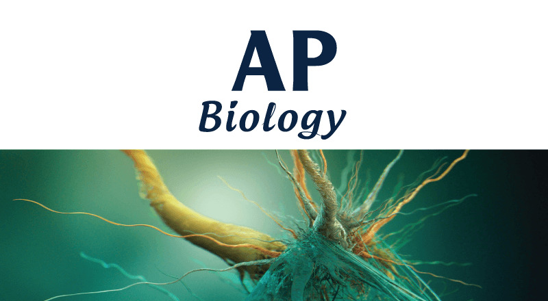 AP Biology