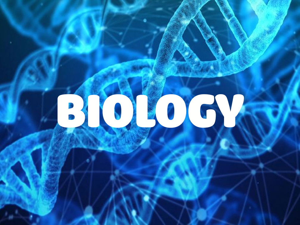 Biology in English tutor