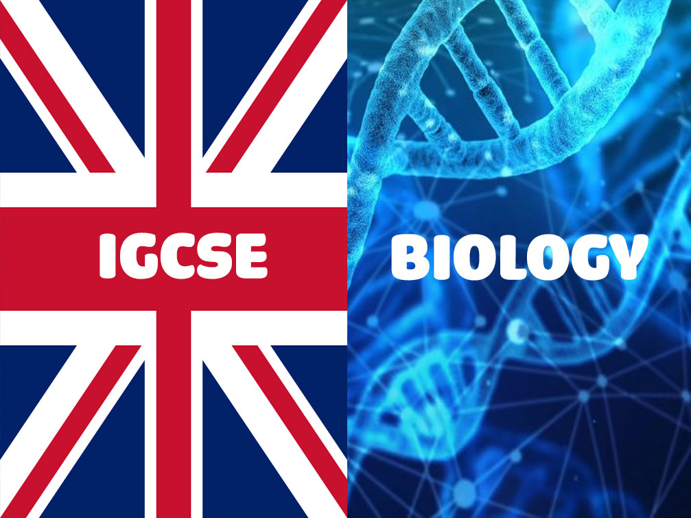igcse-biology-tutor-near-me