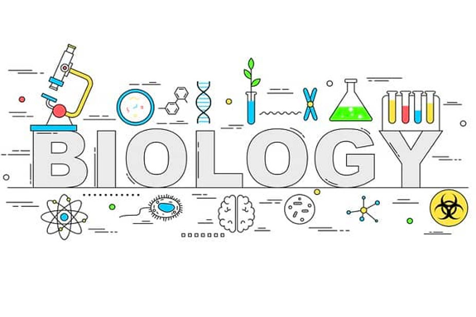 biology-in-english-exercises