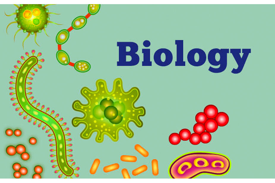 ib-biology-tutor-near-me