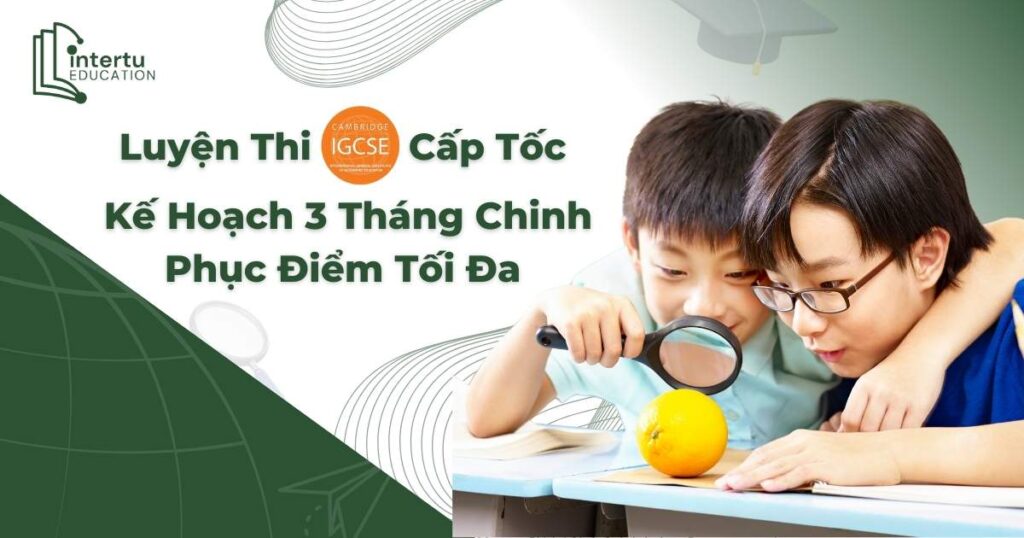 Luyện Thi IGCSE Cấp Tốc: Kế Hoạch 3 Tháng Chinh Phục Điểm Tối Đa