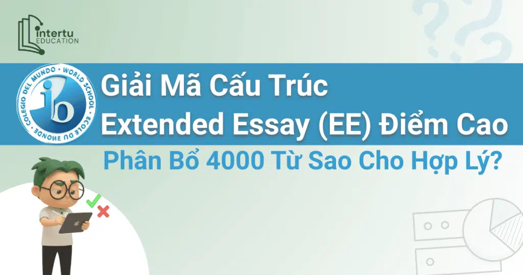 Giải mã cấu trúc IB Extended Essay (EE) điểm cao: Phân bổ 4000 từ sao cho hợp lý?