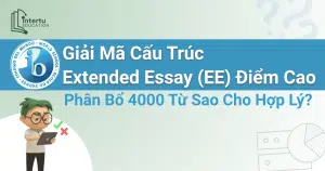 Giải mã cấu trúc IB Extended Essay (EE) điểm cao: Phân bổ 4000 từ sao cho hợp lý?